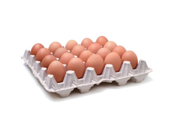Caja Huevo Jumbo