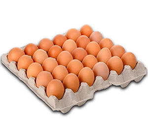Caja Super Extra